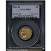 Image 3 : 1911-D $5  MS61 PCGS. Here is an affordable Mint St