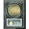 Image 2 : 1878 7TF  Reverse of 1878 MS65 PCGS. Aqua, gold