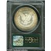 Image 2 : 1878 7/8TF  Strong MS64 PCGS. Sharply struck an