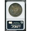 Image 2 : 1879  MS65 NGC. Deeply toned with excellent eye