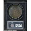 Image 2 : 1880  MS65 PCGS. Multicolored toning bathes lus