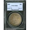 Image 3 : 1880  MS66 PCGS. Deep golden-brown, russet, pew