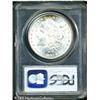 Image 2 : 1881-CC  MS66 PCGS. Well struck, with a nearly
