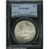Image 3 : 1881-CC  MS67 PCGS. A brilliant and completely