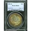 Image 1 : 1881-O  MS65 PCGS. Vivid olive-green, ruby-red,