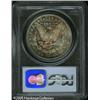 Image 2 : 1881-S  MS66 PCGS. The obverse has a light wash