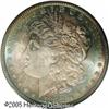 Image 1 : 1882  MS66  img border='0' src='http://www.heritagecoins.com/images/star.gif' width=10 height=10  NG