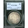 Image 3 : 1883-S  MS64 PCGS. This scarce coin has mottled
