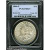 Image 3 : 1884-O  MS67 PCGS. The 1884-O is a common coin