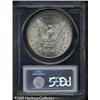 Image 4 : 1884-S  MS62 PCGS. Boldly struck, as is general