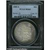 Image 1 : 1885-S  MS65 PCGS. Well struck, with rose-gray