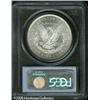 Image 2 : 1891-CC  MS63 PCGS. Brilliant and sharply struc