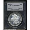 Image 3 : 1891-CC  MS63 Deep Mirror Prooflike PCGS. A spa