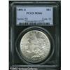 Image 3 : 1891-S  MS66 PCGS. The luster on this amazing c