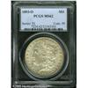 Image 3 : 1893-O  MS62 PCGS. Typically struck, with softn
