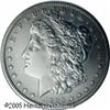 1893-S --Repaired, Cleaned--ANACS. AU Details, Ne