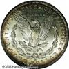 Image 2 : 1895-O  MS63 PCGS. 1895 is perhaps the most leg