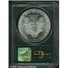 Image 2 : 1986  Silver Eagle MS68 PCGS. Mostly brilliant,