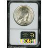Image 2 : 1922  Peace Dollar--Curved Clip at 10 o'clock--MS