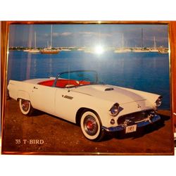 1955 T-Bird Picture