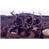 Image 2 : Unguided Caribou Hunt with Alaska Wilderness Charters & Guiding