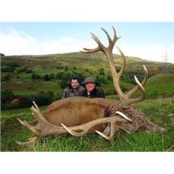 Scotland Red Stag Hunt with International Adventures Unlimited