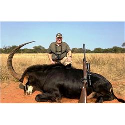 Sable Hunt in South Africa