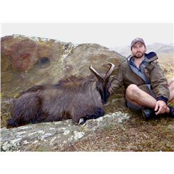 Bull Tahr Hunt in New Zealand