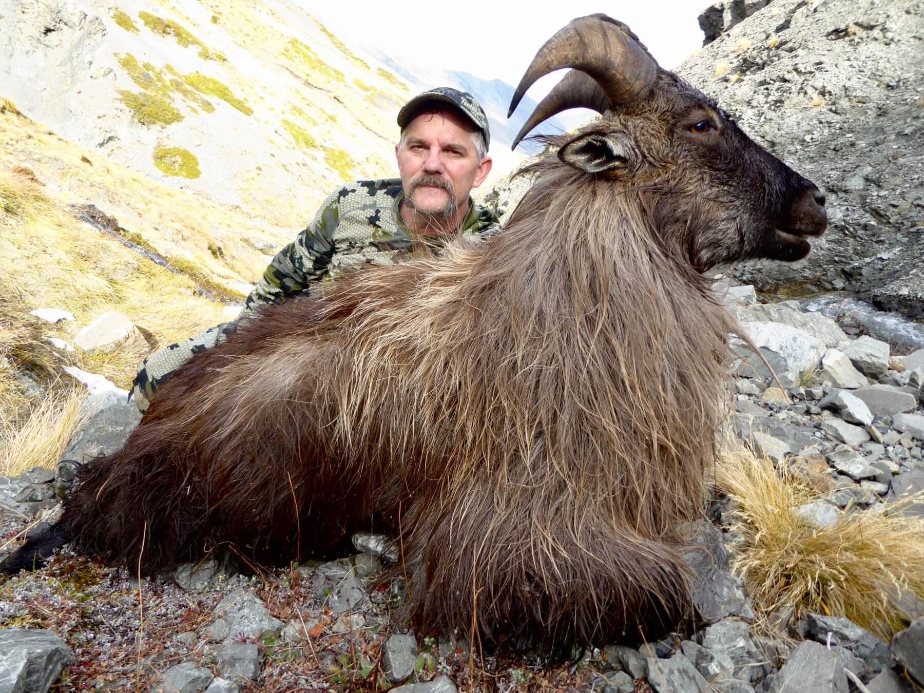 Bull Tahr Hunt in New Zealand