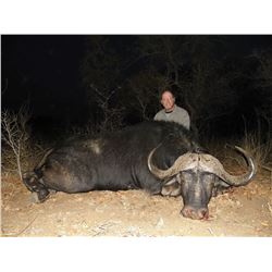 Buffalo Dangerous Game Hunt with Numzaan Safaris