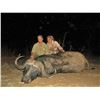 Image 2 : Buffalo Dangerous Game Hunt with Numzaan Safaris