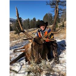 Montana Back Country Elk Hunt
