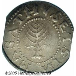 1652 HILNG Pine Tree Shilling, Large Planchet AU5