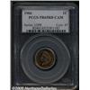 Image 3 : 1904 1C PR65 Red Cameo PCGS. A beautiful cameo co