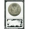 Image 2 : 1881 $1 MS65 NGC. Lustrous silver-gray surfaces e