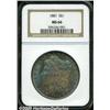Image 3 : 1881 $1 MS66 NGC. The surfaces are refreshingly f