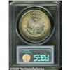 Image 2 : 1886 $1 MS66 PCGS. Extremely deep cobalt-blue, an