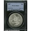 Image 3 : 1887 $1 MS67 PCGS. The luster is thick and satiny