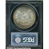 Image 2 : 1891 $1 MS64 PCGS. Peripheral gold-brown and coba