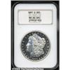 Image 1 : 1891-S $1 MS64 Deep Mirror Prooflike NGC. A very 