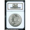 Image 1 : 1896 $1 MS66 NGC. Intricately struck and fully lu