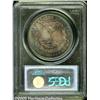 Image 2 : 1902-S $1 MS64 PCGS. Beautiful cobalt-blue and go