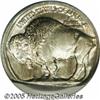 Image 2 : 1913 5C Type Two Buffalo Nickel--Broadstruck with