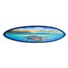 Image 1 : Honu 'Ea Hanalei Surfboard - SOLD