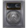 Image 2 : 2015 AMERICAN SILVER EAGLE