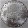Image 4 : 2010 AMERICAN SILVER EAGLE