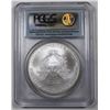 Image 2 : 2008 AMERICAN SILVER EAGLE