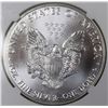 Image 4 : 2016 AMERICAN SILVER EAGLE