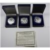 Image 2 : 3- BOXED 1999 AMERICAN SILVER EAGLES