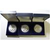 Image 2 : LOT: AMERICAN SILVER EAGLES